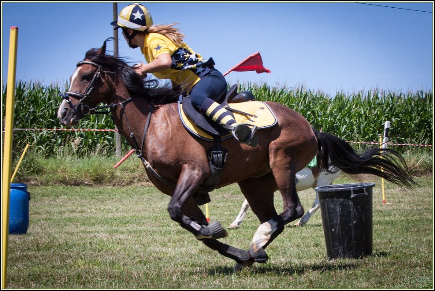Mounted Games 167